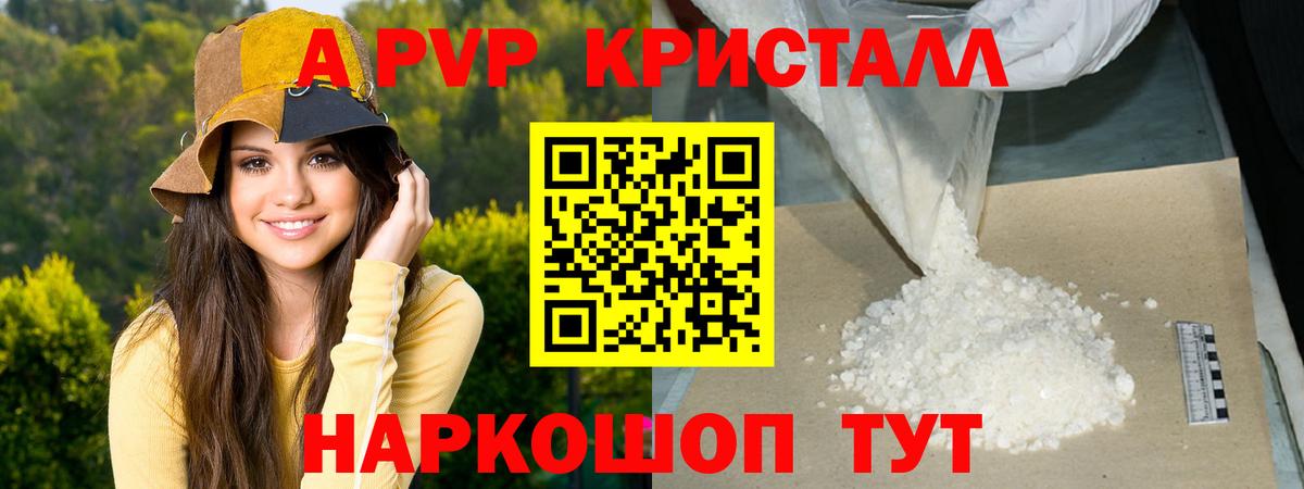 A-PVP СК КРИС Волгодонск