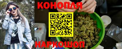 шишки Можга