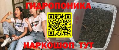 шишки Можга