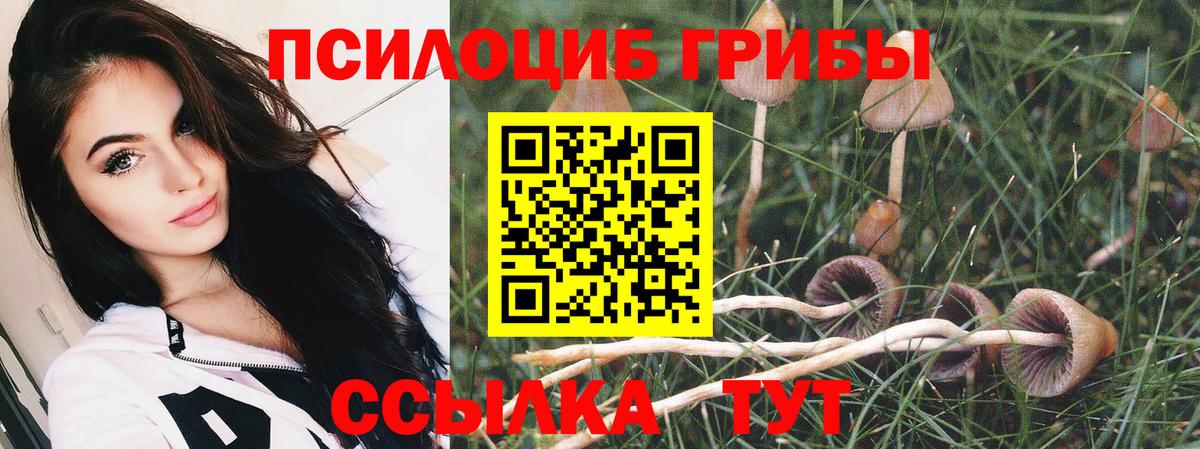 Псилоцибиновые грибы ЛСД  Вход с VPN  Волгодонск  Псилоцибиновые грибы Magic Shrooms 