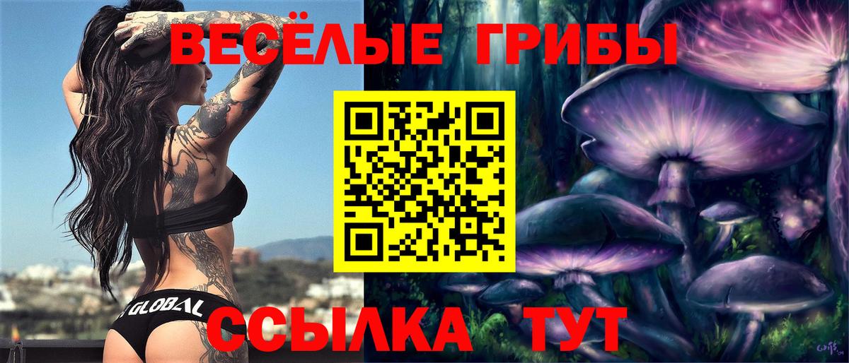 Псилоцибиновые грибы прущие грибы Волгодонск
